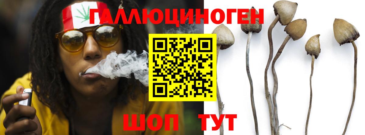 Серпухов  Галлюциногенные грибы Psilocybine cubensis  Вход с VPN  Псилоцибиновые грибы мухоморы 
